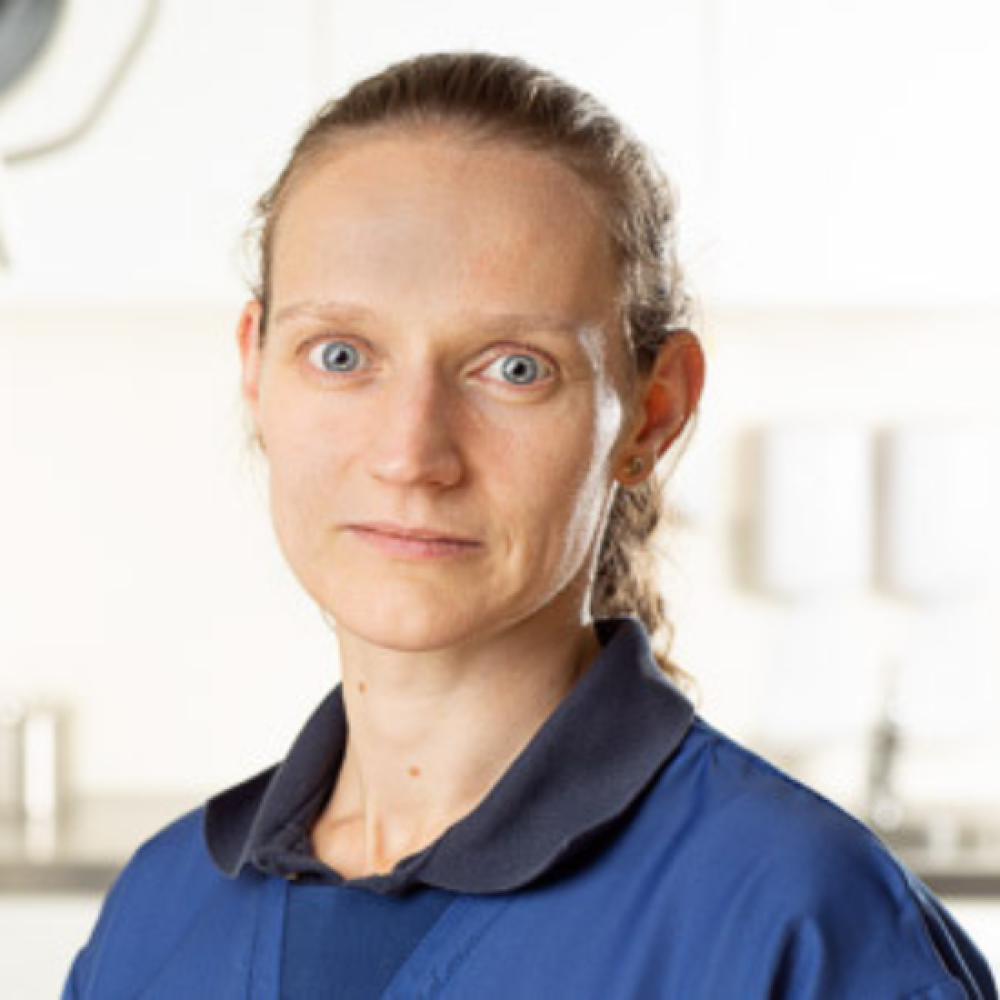 Dr Elke Van der Vekens