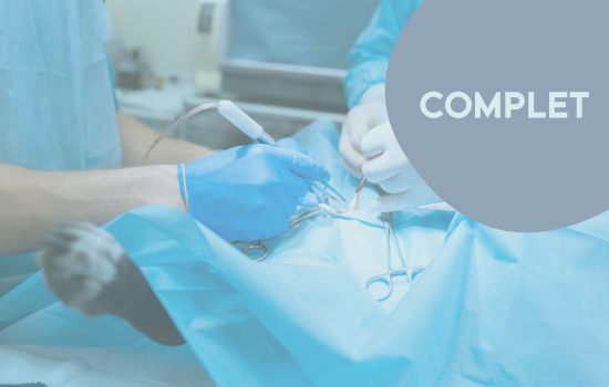 Parcours didactique en chirurgie des carnivores - édition 3